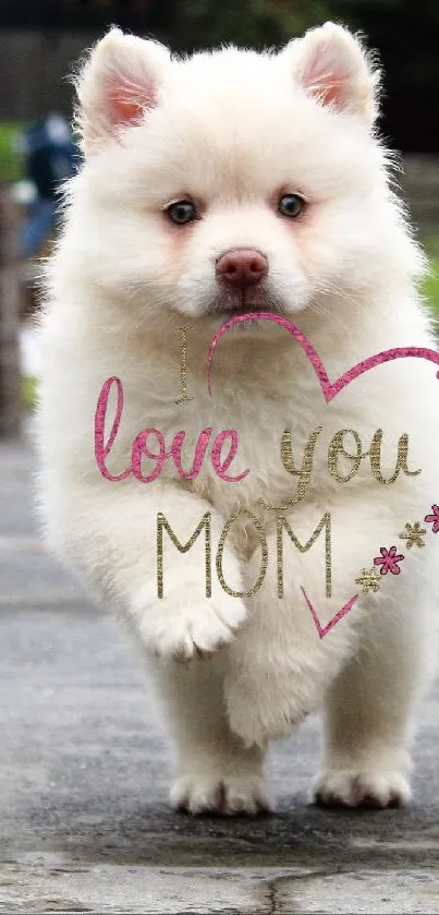 Fluffy white puppy with 'Love You Mom' text in heart shape.