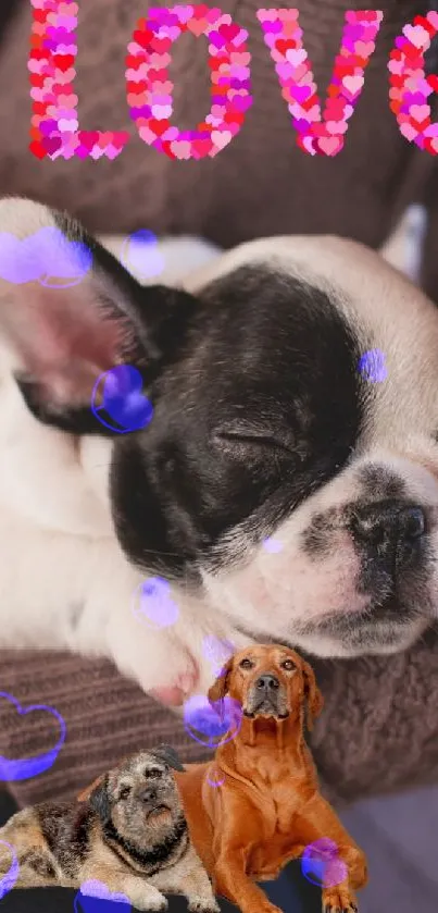 Adorable puppy resting in arms with love text and dogs.