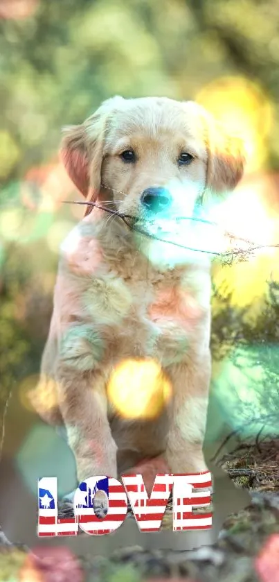 Golden retriever puppy in a forest with bokeh lights and a 'LOVE' text overlay.