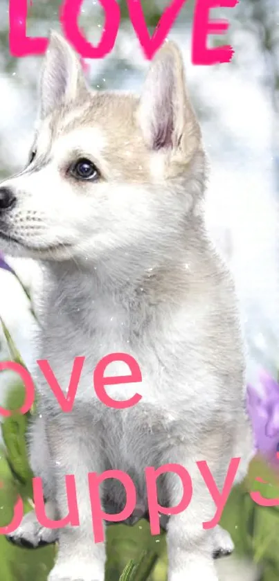 Adorable husky puppy with love text in nature.