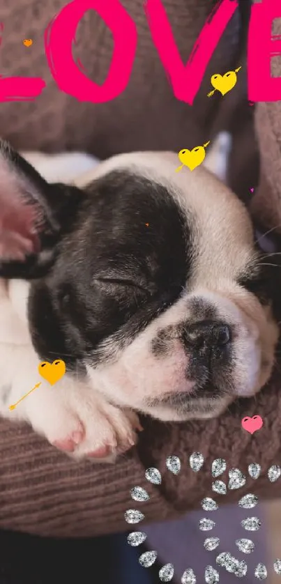 French Bulldog puppy sleeping on someone's lap with 'LOVE' text.