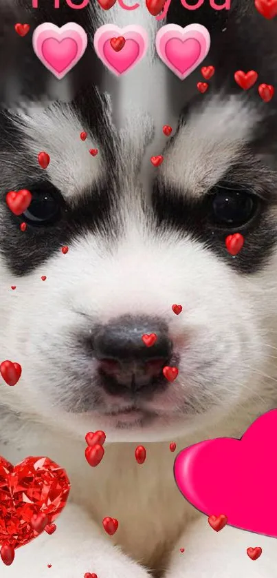 Adorable puppy with red hearts design.