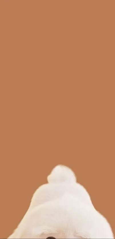 Minimalist wallpaper with white puppy on brown background.