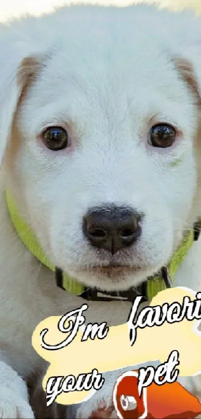 Adorable white puppy with playful text on collar.