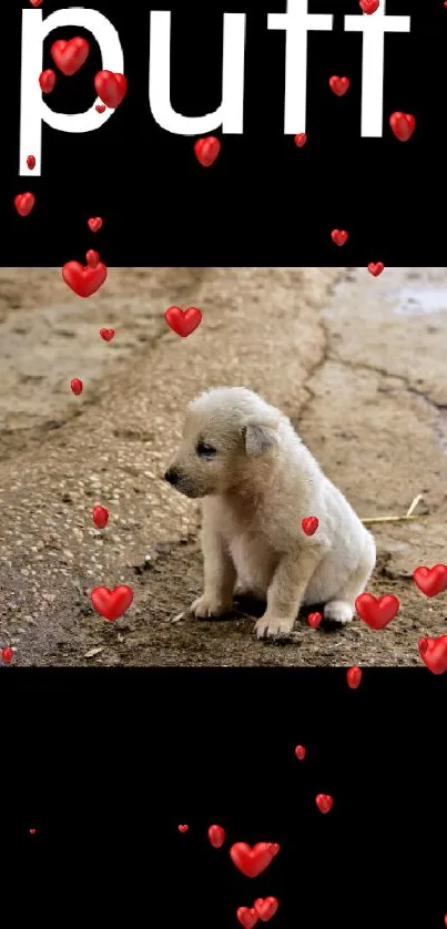 Cute puppy sitting on a textured ground with puff text above.