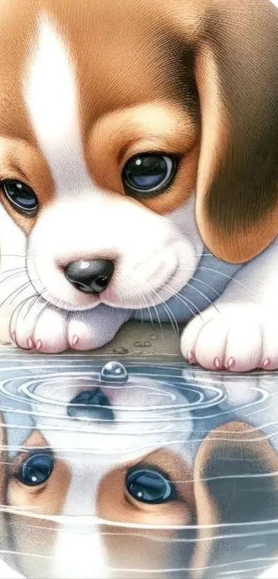 Adorable puppy looks at its reflection in water, mobile wallpaper.