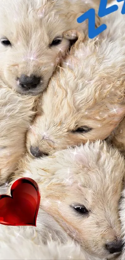 Cute fluffy puppies sleeping with heart embellishment.