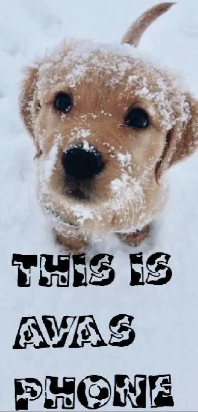 Cute puppy in snow with 'This is Ava's Phone' text.