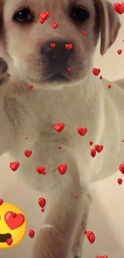 Cute puppy with heart eyes emoji wallpaper