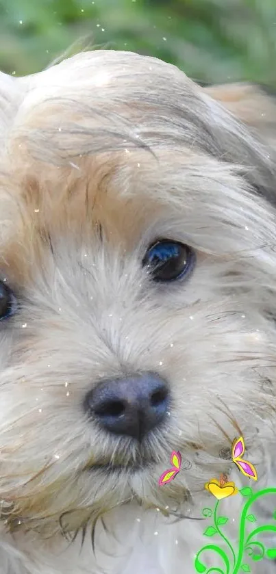 Adorable puppy with bright eyes in greenery.