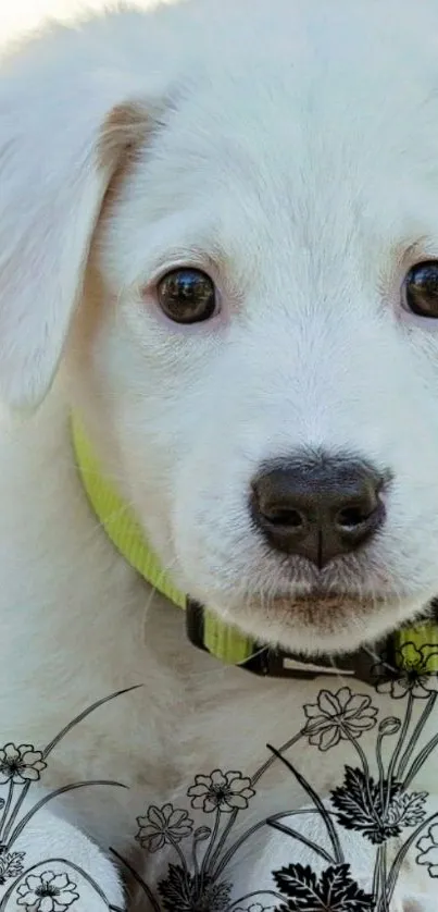 Adorable white puppy with floral accents on a phone wallpaper.