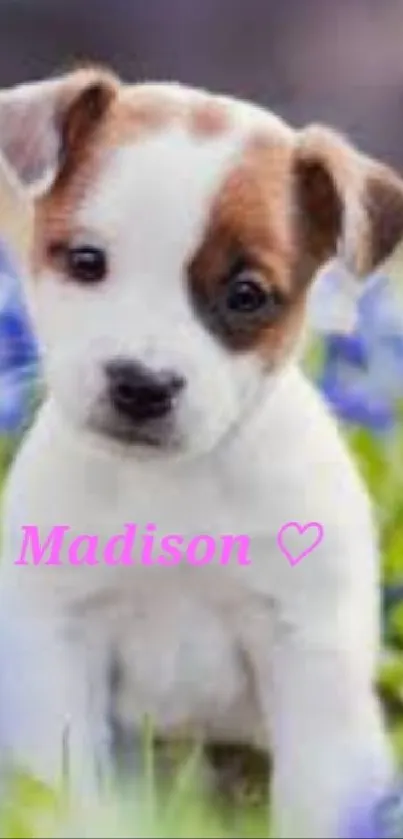 Adorable brown and white puppy with flowers.