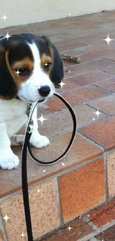 Adorable puppy with leash on brick steps, sparkling effect.