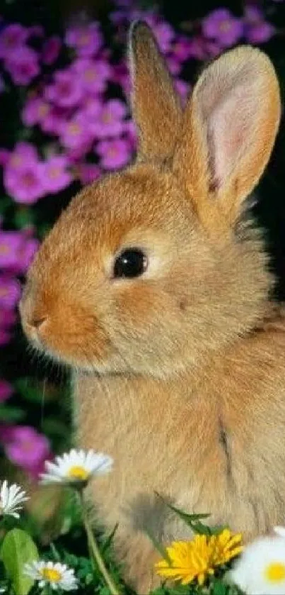 A cute brown rabbit amidst vibrant spring flowers.