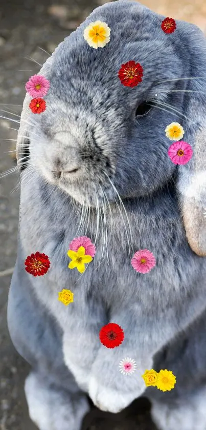 Adorable gray rabbit with colorful flowers on fur background.