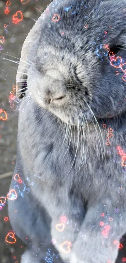 Gray rabbit with glowing heart lights in a whimsical mobile wallpaper.