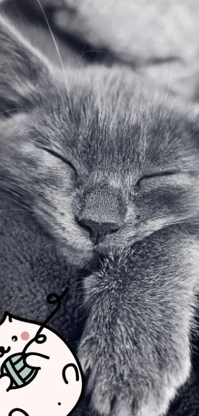 Adorable gray cat sleeping peacefully in a cute artistic wallpaper.