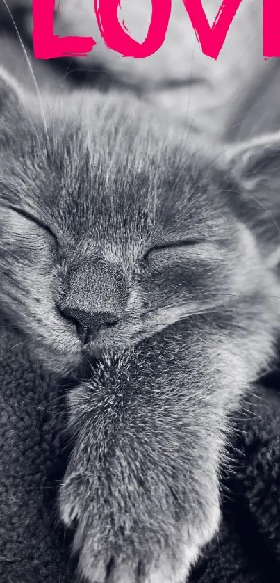 Cute sleeping kitten with love text in pink.