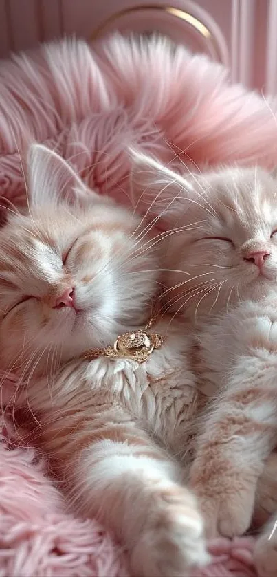 Adorable kittens sleeping in a pink furry setting, perfect for a cozy mobile wallpaper.