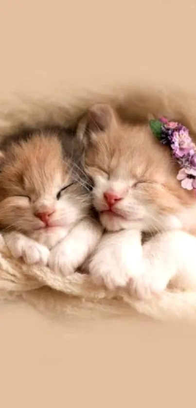 Two sleeping kittens cuddling under a beige blanket.