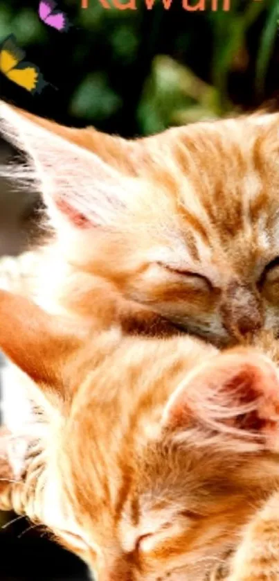 Cute orange kittens snuggled together on a woven seat with green leaves backdrop.