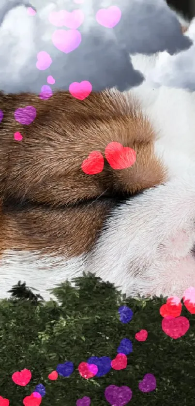 Adorable sleeping puppy with clouds and foliage background.