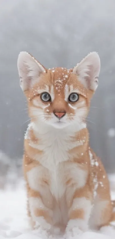 Ginger cat sitting in snow with a blurred forest background.