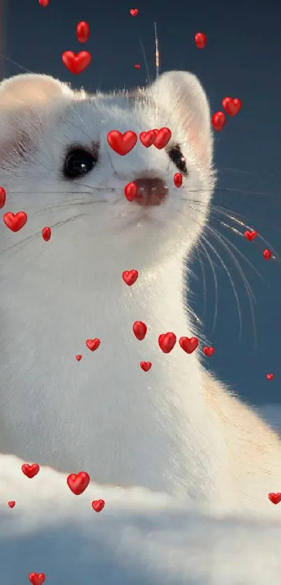 Adorable white weasel on snowy background.