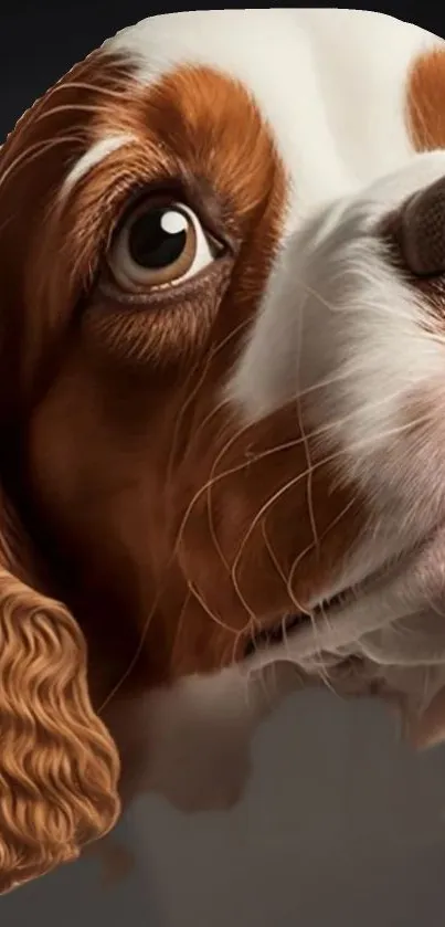 Adorable Spaniel puppy with lifelike brown and white fur on mobile wallpaper.