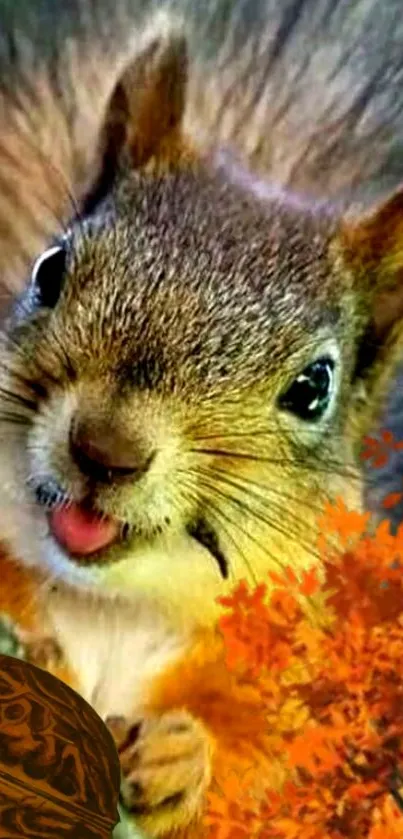 Adorable squirrel on tree with vibrant fur.