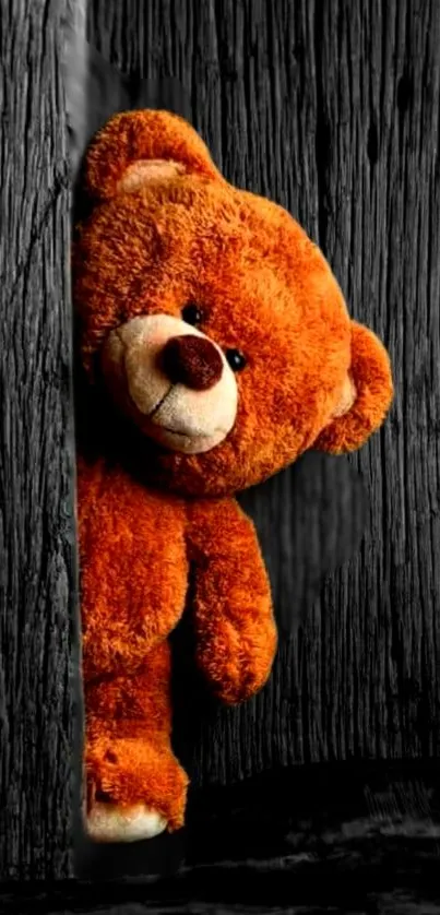 Adorable teddy bear peeking from rustic wooden background.