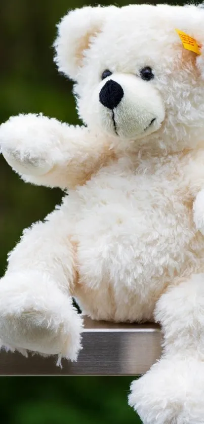 Adorable white teddy bear sitting on a steel bar.