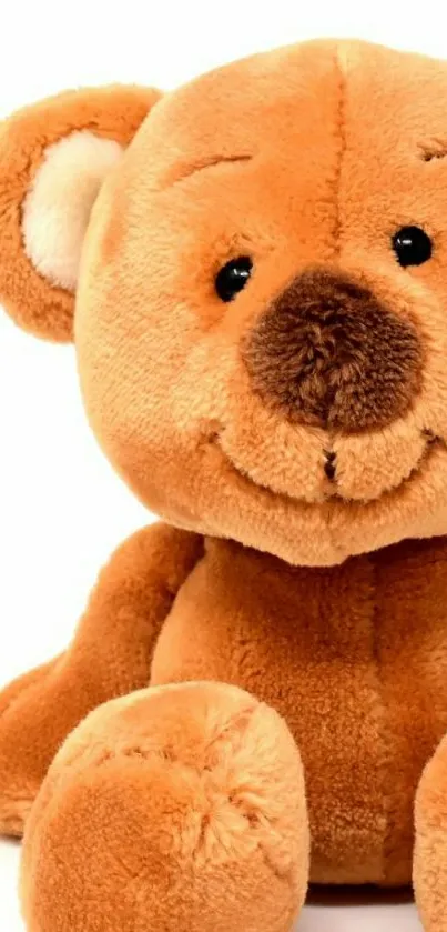 Adorable brown teddy bear plush toy wallpaper for phone.