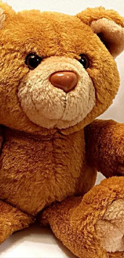 Adorable brown teddy bear sitting on a neutral background.