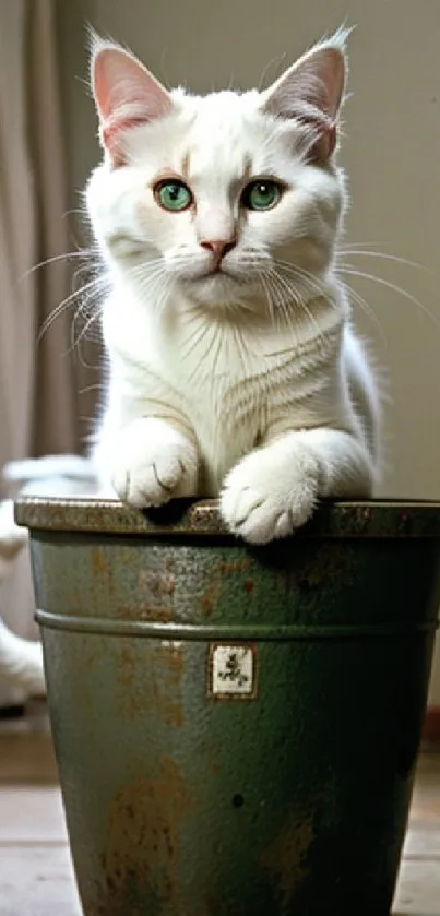 White cat perched on green pot with neutral background mobile wallpaper.