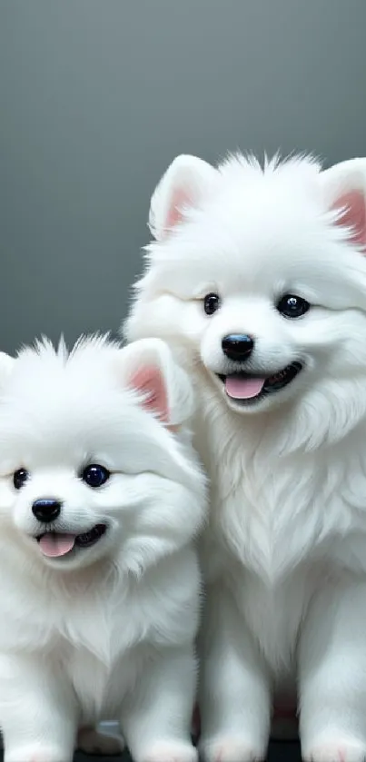 Two cute white dogs with pink ears and black eyes, sitting together.