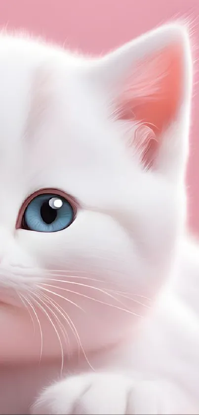 Fluffy white kitten with blue eyes on a pink background.