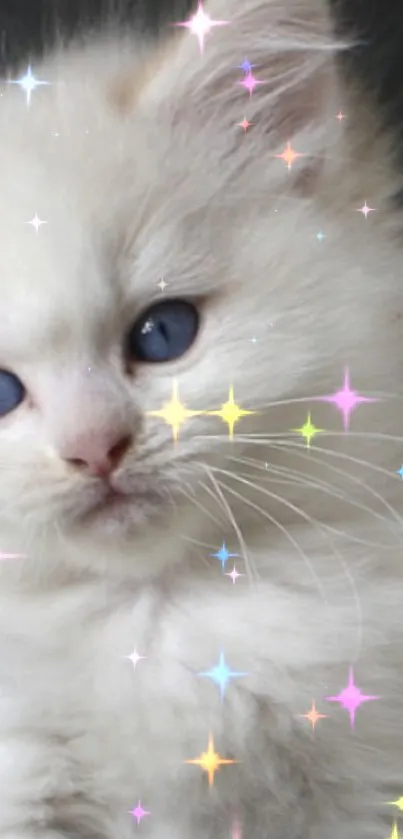 Fluffy white kitten with blue eyes on a green surface, perfect for mobile wallpaper.