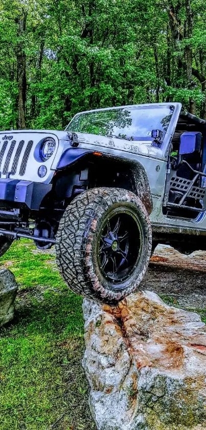 Rugged jeep explores forest terrain on rocky path.