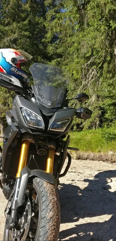 Motorcycle poised in scenic forest setting with lush greenery.