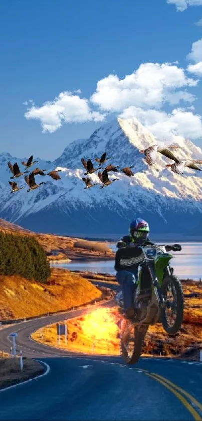 Motorcyclist on scenic mountain road with geese and blue sky.