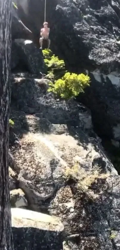 Rope swinging from rocky cliffs with vibrant greenery.