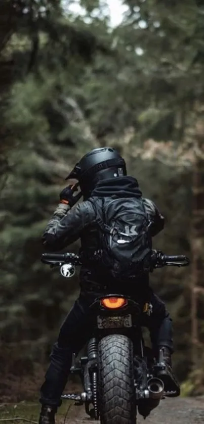 Motorcyclist rides through dense forest trail showcasing adventure.