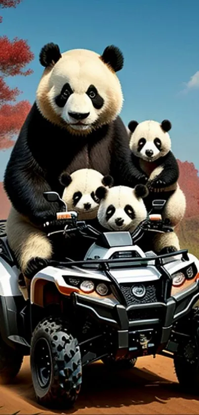 Panda family riding an ATV, set in nature.