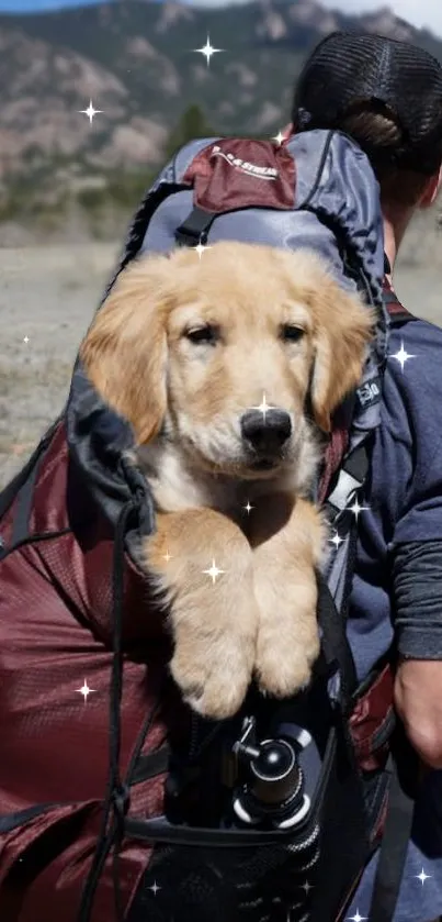 Cute puppy in a backpack amidst nature.