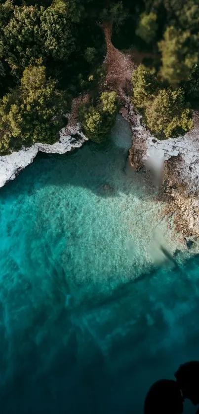 Aerial view of a turquoise beach and lush forest.