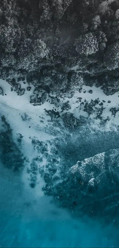 Aerial view of a serene beach meeting a dense forest.