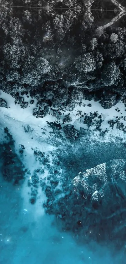 Aerial view of a forest meeting a cyan blue ocean beach.