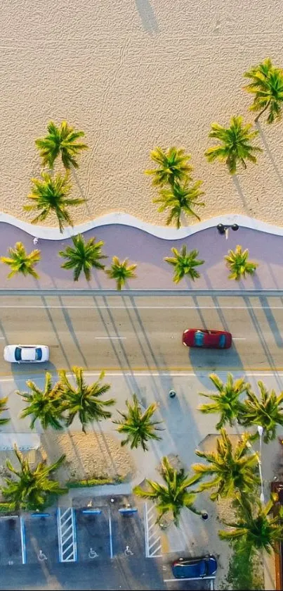 Aerial view of a beach road lined with palm trees.