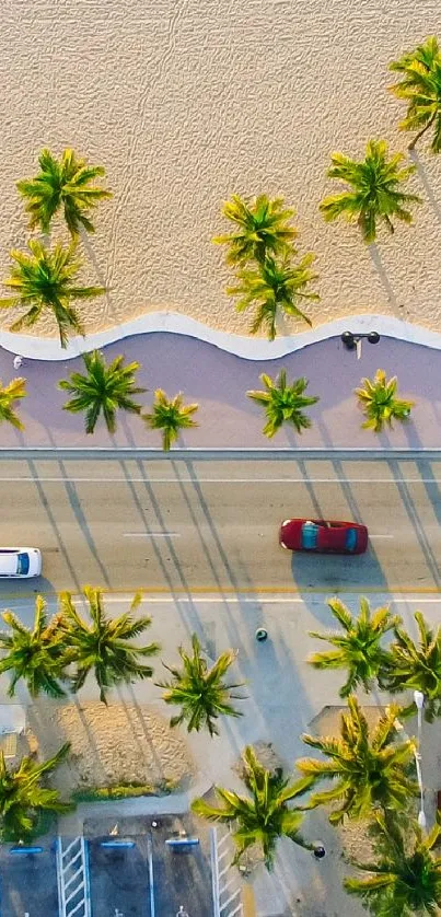 Aerial view of beach road with palm trees.